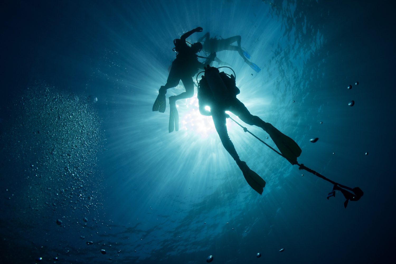 tour cenote e tartarughe