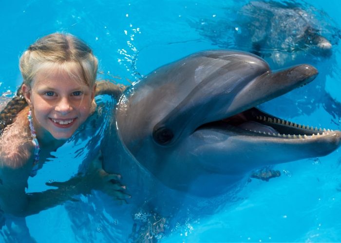 tour nuoto con delfini
